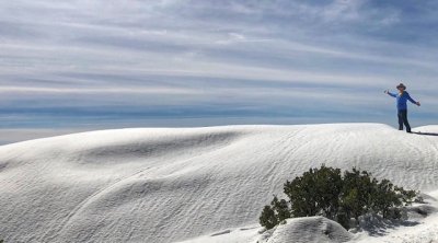 Ran at Sequoia National Park