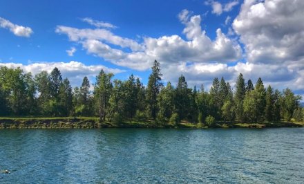 Coeur d'Alene River
