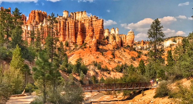Bryce Canyon National Park; Mossy Cave Trail