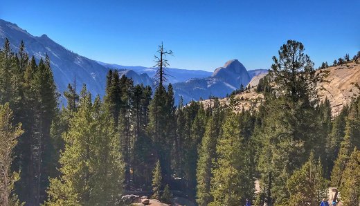 Yosemite National Park