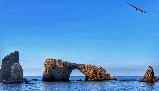 Channel Islands National Park