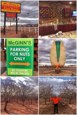 McGinn's Arena Blanca Winery