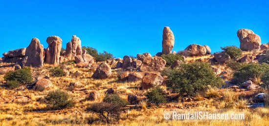City of Rocks State Park, New Mexico