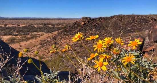 Sears Point, Arizona