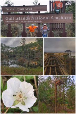 Gulf Islands National Seashore
