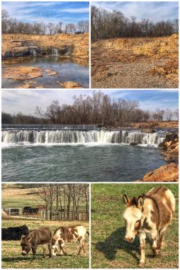 Grand Falls, Joplin