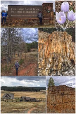 Florissant Fossil Beds National Monument