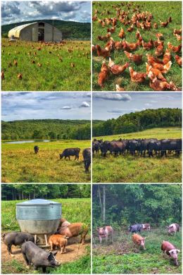 Red House Ranch