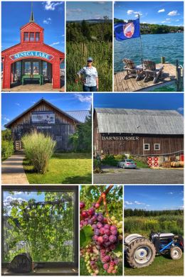Seneca Lake wineries