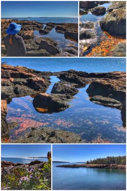 Acadia National Park, Ship Harbor Trail