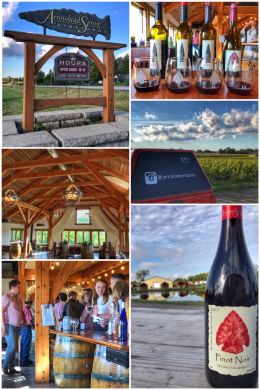 Arrowhead Springs Vineyards