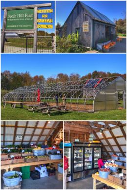 Beech Hill Farm