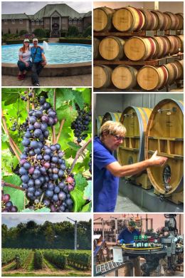 Chateau Des Charmes