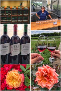 Chateau Des Charmes