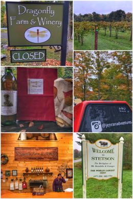 Dragonfly Farm & Winery