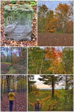 Hedgehog Mountain, Freeport, Maine