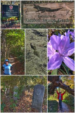 Audubon Swamp Garden