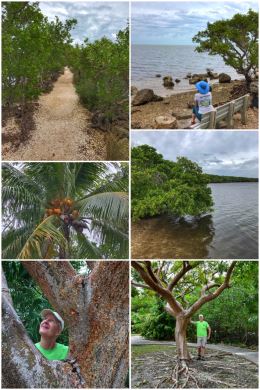 Biscayne National Park, Jetty Trail at Dante Fascell Visitor Center