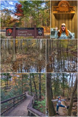 Congaree National Park
