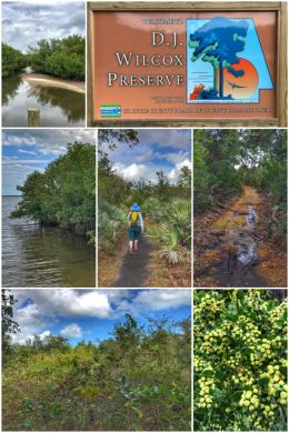 D.J. Wilcox Preserve, Fort Pierce