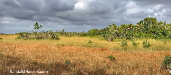 Everglades National Park
