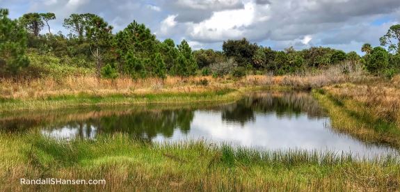 George LeStrange Preserve