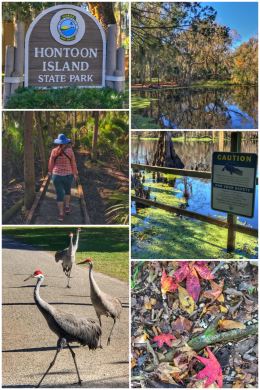 Hontoon Island State Park
