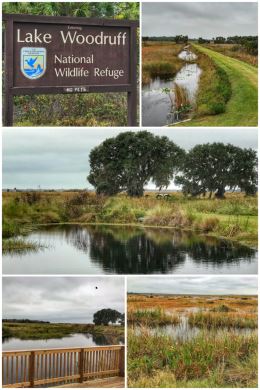 Lake Woodruff National Wildlife Refuge