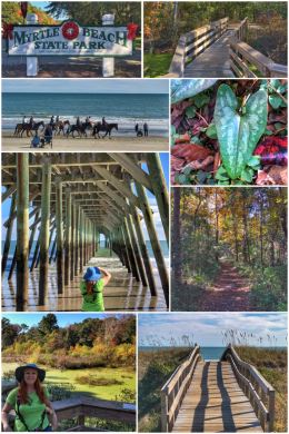 Myrtle Beach State Park