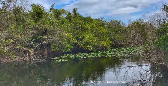 South Florida