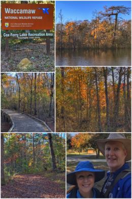 Waccamaw National Wildlife Refuge
