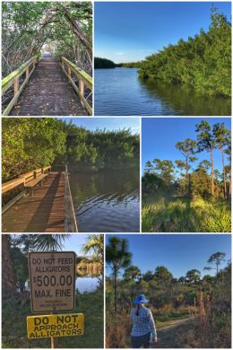 Alligator Creek Preserve