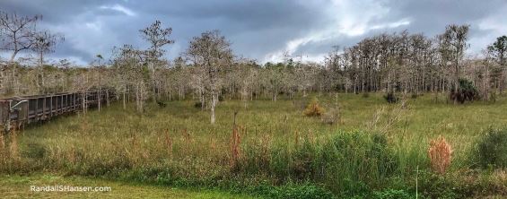 Big Cypress National Preserve