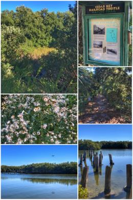 Cedar Key Railroad Trestle Nature Trail