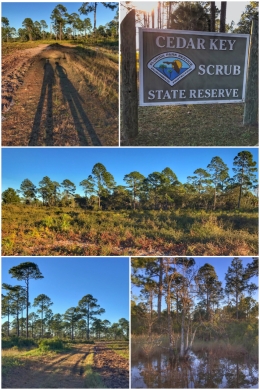 Cedar Key Scrub State Reserve