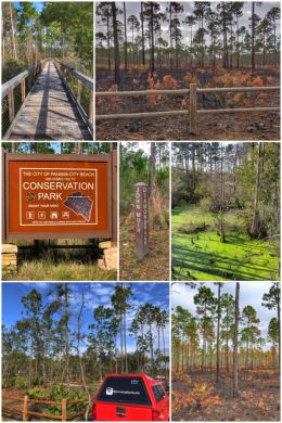 Conservation Park