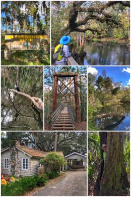 Hillsborough River State Park