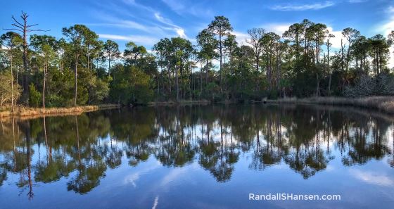 Lower Suwanee National Wildlife Refuge