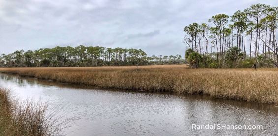 St Marks National Wildlife Refuge