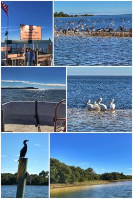 Tidewater Tours, Cedar Key