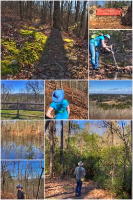 Pine Mountain Trail