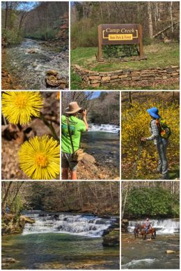 Camp Creek State Park and Forest