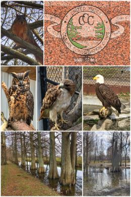 Reelfoot Lake State Park visitor center