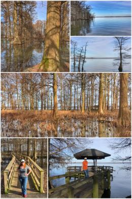 Reelfoot Lake State Park