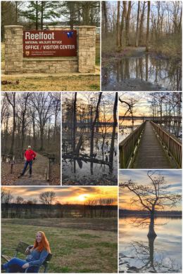 Reelfoot National Wildlife Refuge