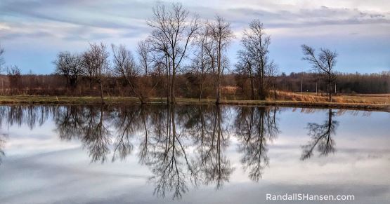 Reelfoot National Wildlife Refuge