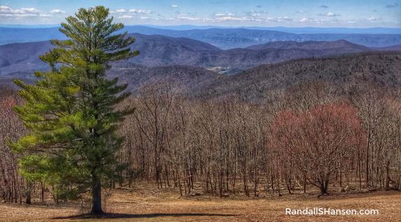 Shenandoah National Park