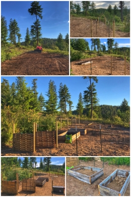 H3 Garden Plan/Set up