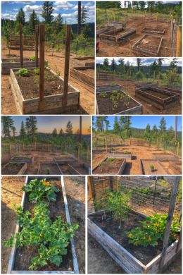 H3 garden expansion