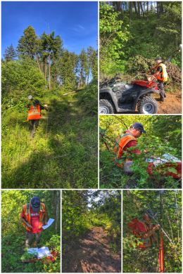H3 Surveyor: Emerson Surveying